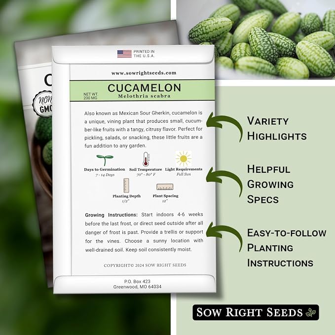 Sow Right Seeds - Cucamelon Seeds for Planting - Non-GMO Heirloom Packet with Instructions to Plant an Outdoor Home Vegetable Garden - Mini Bitter Mouse Melon, Mexican Sour Gherkin - Rare Variety (2)