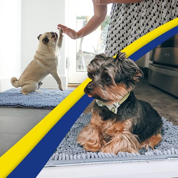 Muddy Mat® | Super Water Absorbent Door Mat Indoor, Microfiber Quick Dry Chenille Entryway Rug, Slip Resistant Front Door Mat, Indoor Mats for Entryway, Machine Washable Pet Rug, Baby Blue 24"X36"