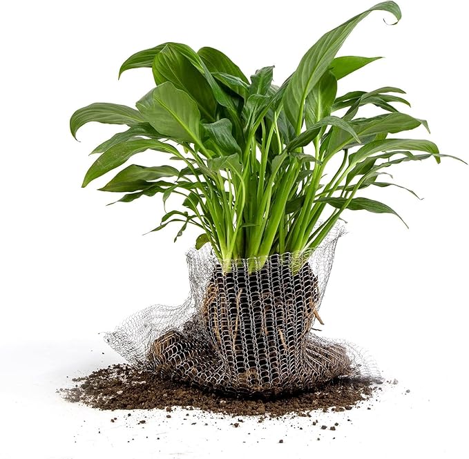 Root Guard Gopher Proof Wire Basket Mole and Vole Mesh Wire Baskets Underground Stainless Steel Wires for Plants Root Protection (4, 10 Gallon)