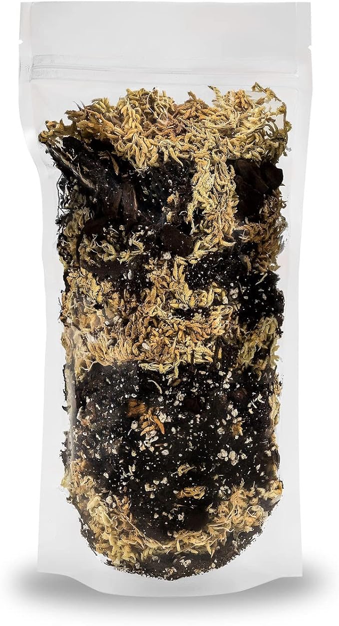 Gardenera Premium Orchid Mix by GARDENERA | Fern + New Zealand Pine Bark + Sphagnum Moss + Perlite | Best for Growing and Repotting Orchids - 5 Quart Bag