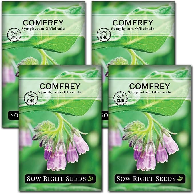 Sow Right Seeds - Comfrey Seeds for Planting - Non-GMO Heirloom - High-Yield Comfrey for Garden, Medicinal Herbs, and Soil Improvement - Outdoor or Indoor Herb Garden - Use for Home Remedies (4)