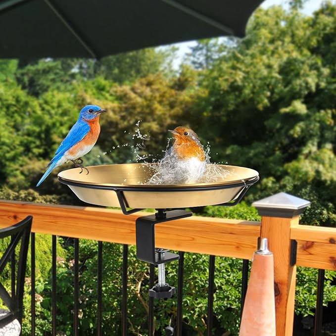 HRAYLTOP Deck Mounted Bird Bath Bird Feeder Bowl with 1.8 inch Thick Iron Clamp - Detachable Outdoor Decor for Garden Backyard Patio and Deck - Perfect for Attracting Birds