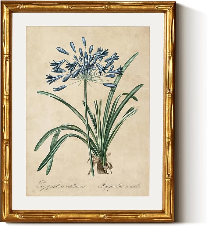 InSimSea Gold Bamboo Framed Canvas Wall Art, Retro Lily Botanical Prints
