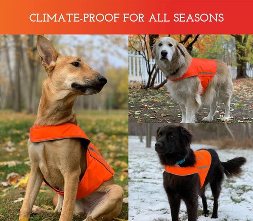 High Visibility Reflective Dog Vest - Easy Fastening, Orange, Sizes XS-XXL