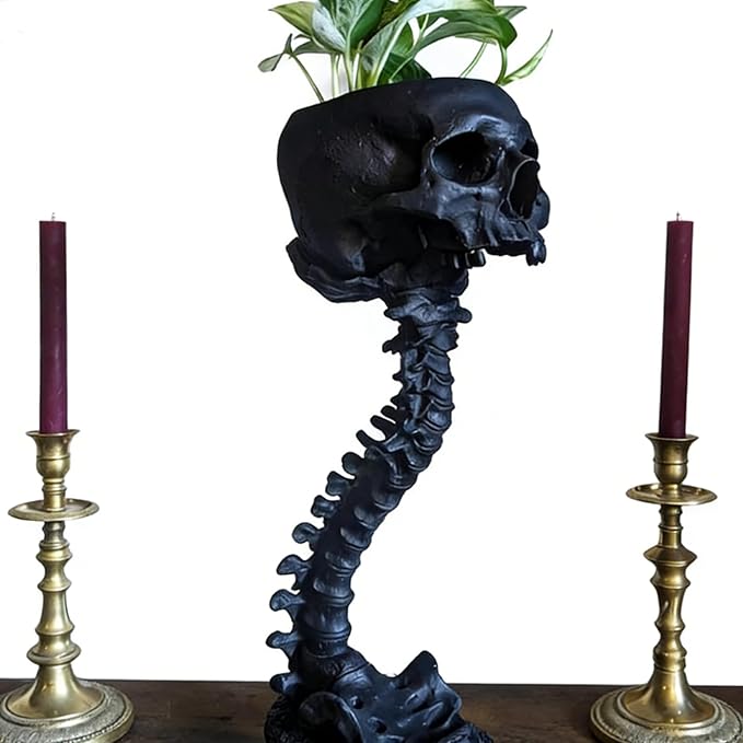 Skull Planter 11.6" Tall Black Gothic Pot | Spooky Goth Home Decor for Bathroom Bedroom, Halloween Plant Pot Flower Vase, Gothic Room Decor Skull Ornament for Indoor Plants
