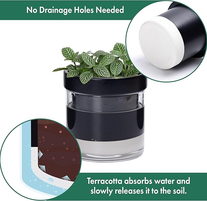 Phoenix Vine 4 Inch Self Watering Planter Pot, Black Terracotta Clay Pot with Glass Reservoir for Indoor Plants, Herbs, Flowers, Set of 4, 52-C-E-4