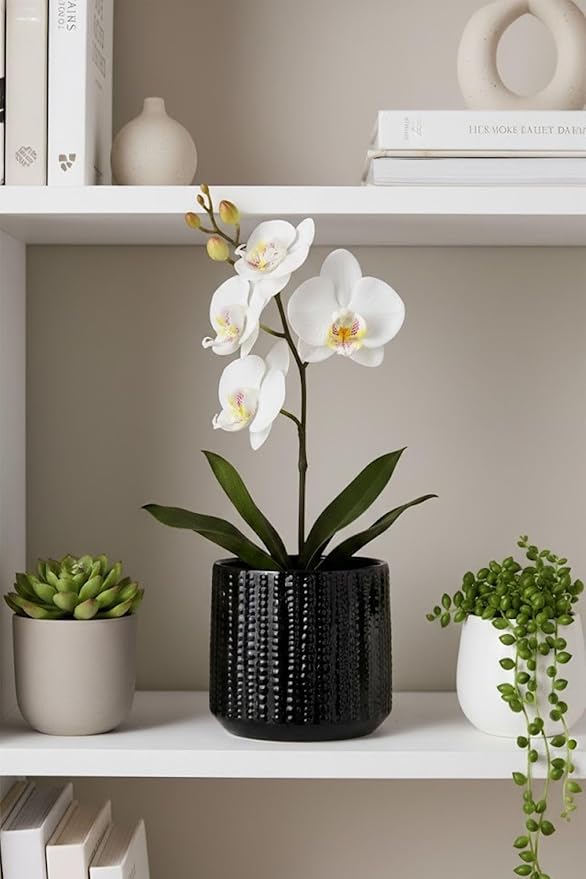 Ceramic Planter Pot with Drainage Hole, 5 Inch Dia, Indoor and Outdoor, Home Patio Garden, Plants Flower Succulent, Textured Round (Black)