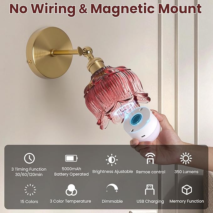 Vintage Battery Operated Wall Sconce