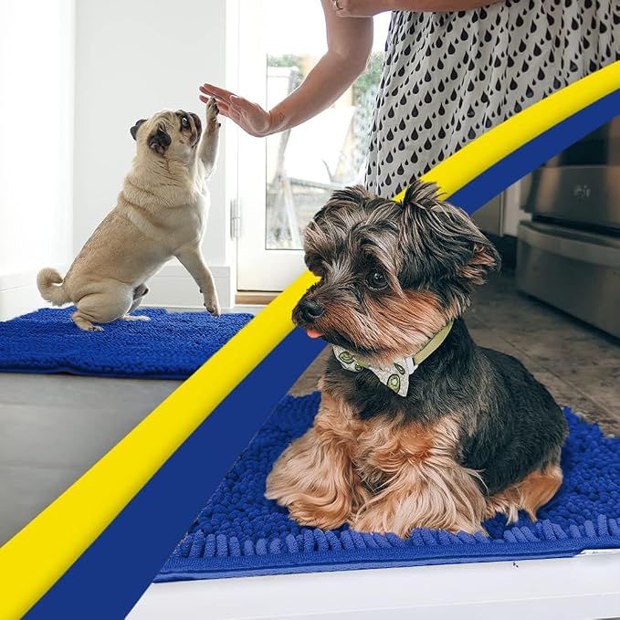 Muddy Mat® | Super Water Absorbent Door Mat Indoor, Microfiber Quick Dry Chenille Entryway Rug, Slip Resistant Front Door Mat, Indoor Mats for Entryway, Machine Washable Pet Rug, Royal Blue 3ft x 5ft