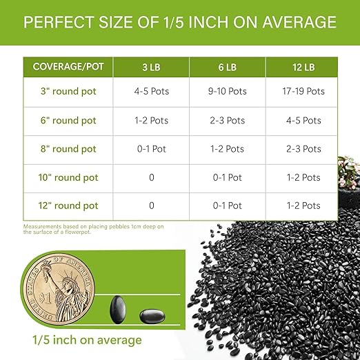 NUPICK 6lb River Rocks for Plants Indoor, 1/5 Inch Black Pebbles for Vases Fillers, Decorative Pea Gravel for Fish Tank, Natural Polished Stones for Succulent, Bonsai, Landscaping, Bird Baths