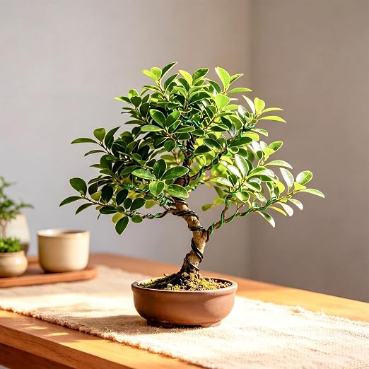 Mudder 5 Roll Aluminum Bonsai Training Wire Tree 1/1.5/2.0mm 160 Feet Total with Bonsai Wire Cutter Anodized Training for Holding Branches Small Trunks(Colorful)