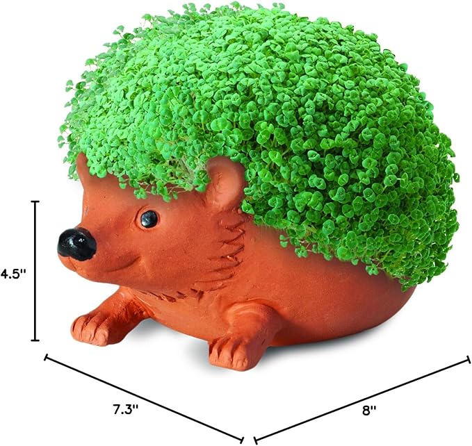 Chia Pet Hedgehog with Seed Pack, Decorative Pottery Planter, Easy to Do and Fun to Grow, Novelty Gift, Perfect for Any Occasion, Terra Cotta