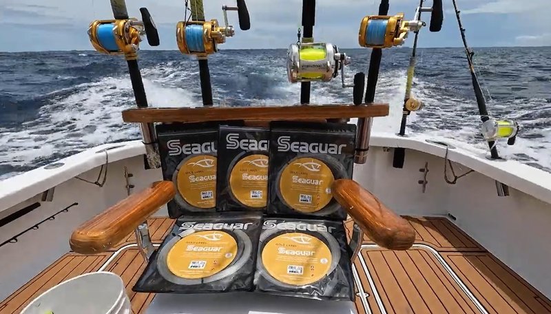 Seaguar Gold Label Big Game 100% Fluorocarbon Fishing Line Leader (Coil), 200lbs, 25 Yards - Break Strength/Length, Clear - 200GL25