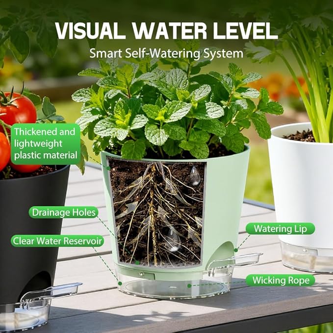 Self Watering Pots for Plants, 2026 New Flower Plant Pots with Drainage Holes, Wicking and Clear Reservoirs for Succulent, Aloe, Cacti and Others - 6 Pack (Colorful, 4")