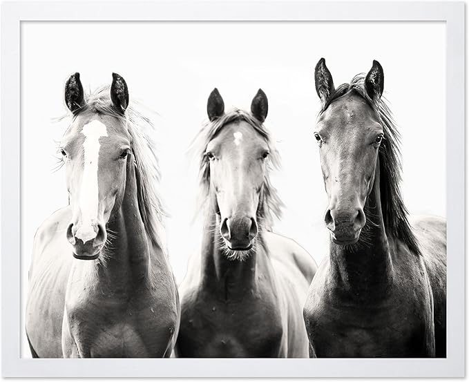 Poster Master Vintage Photograph Poster