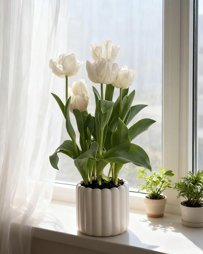 Ceramic Plant Pots,6 inch+4.7 Inch Planter Pot with Drainage Holes,Ceramic Planters for Indoor Plants,Modern Flower Pots for Indoor Outdoor Plants House & Office Décor,Cream White