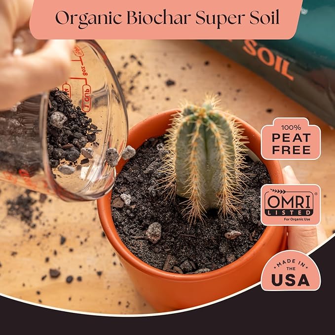 Rosy Soil Cactus & Succulent Potting Mix, 4qt, Pack of 2 | Organic Succulent Potting Soil, Chunky Fast Draining, Peat-Free, Root Boosting Mix, For AloeVera, Cacti, Indoor Succulents