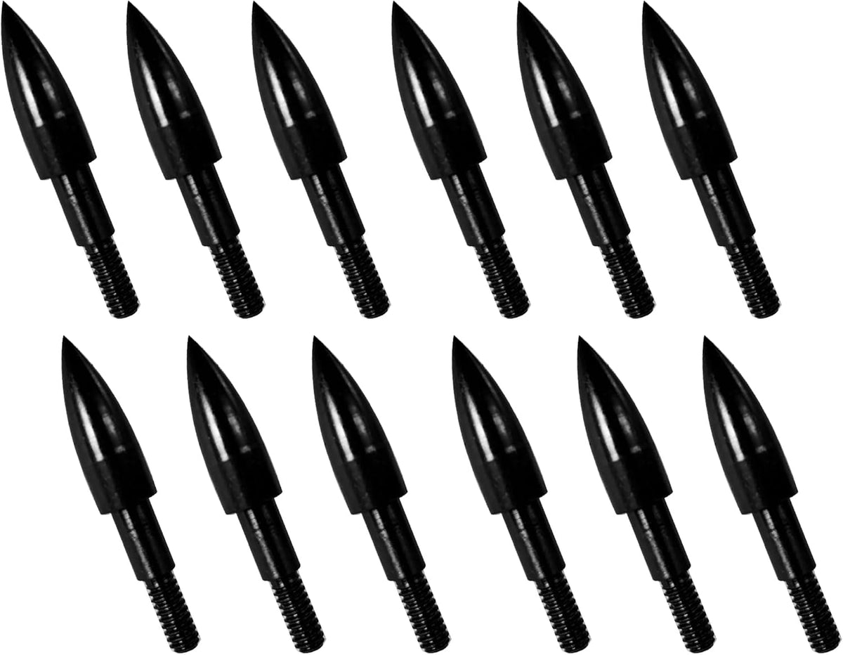 Skiennix Archery Arrow Tips - 12pcs Field Points for Target Practice | 100/125/150/200 Grain, 5/16 Inch