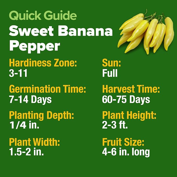 HOME GROWN Banana Pepper Seeds 94+ Heirloom Non GMO Seeds for Planting, High Germination, Sweet & Mild Peppers, Indoor Outdoor Garden, Perfect for Slicing & Pickling, High Yield (Capsicum annuum)