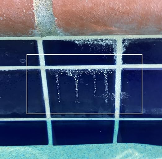 Calcium Build Up & Scum Line Remover- Guardian Pool & Tile Cleaner (4 gal.) - Targets Calcium, Saves Elbow Grease