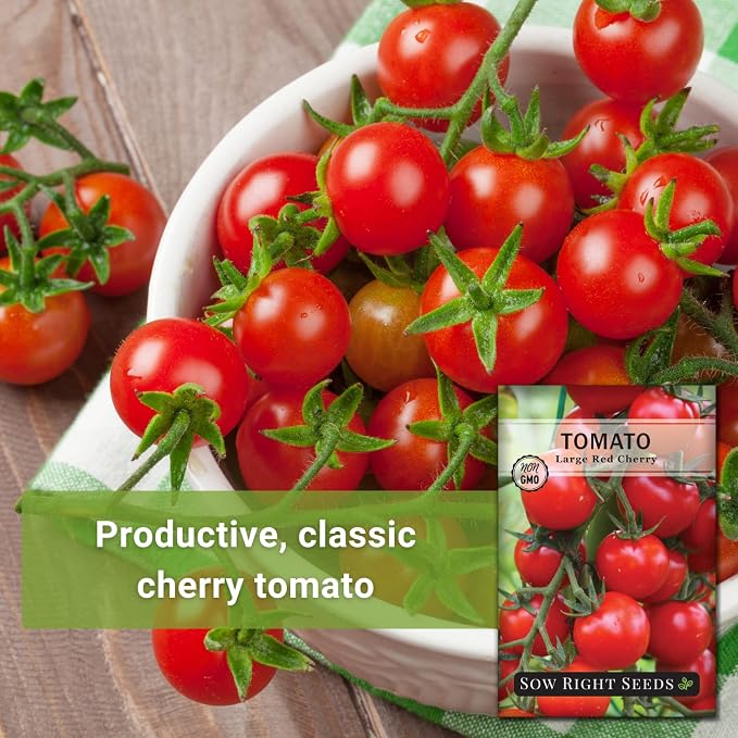 Sow Right Seeds - Large Red Cherry Tomato Seeds for Planting - Non-GMO Heirloom Packet with Instructions to Plant a Home Vegetable Garden - Tasty Snacking Variety, Start Indoors - Indeterminate (4)