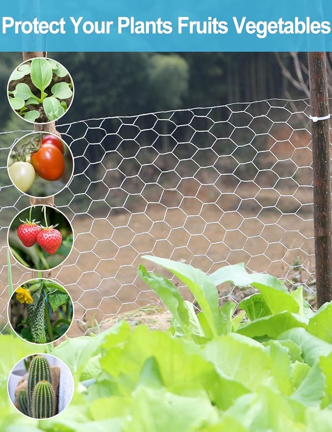 TOYPOPOR Chicken Wire 16'' x 600''(40cm x 15m), Outdoor Anti-Rust Hexagonal Galvanized Chicken Wire Mesh Fencing to Protect Gardening Plants Vegetables Flowers Fruits From Dogs Rabbits Squirrels, 49ft