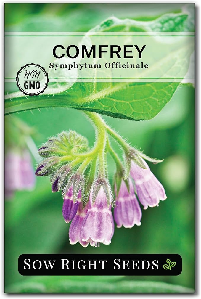 Sow Right Seeds - Comfrey Seeds for Planting - Non-GMO Heirloom - High-Yield Comfrey for Garden, Medicinal Herbs, and Soil Improvement - Outdoor or Indoor Herb Garden - Use for Home Remedies (1)