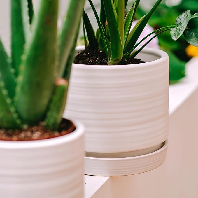 HERDUK 8 Inch Pots for Plants, Ceramic Planter Pot with Drainage Hole & Saucer, Indoor/Outdoor Cylinder Round Planter Pot, Matte White