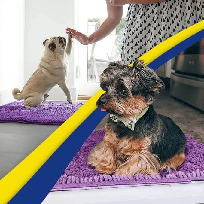 Muddy Mat® | Super Water Absorbent Door Mat Indoor, Microfiber Quick Dry Chenille Entryway Rug, Slip Resistant Front Door Mat, Indoor Mats for Entryway, Machine Washable Pet Rug, Purple 30" x 60"