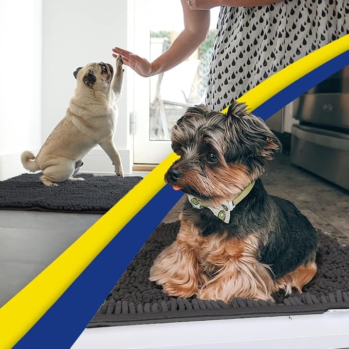 Muddy Mat® | Super Water Absorbent Door Mat Indoor, Microfiber Quick Dry Chenille Entryway Rug, Slip Resistant Front Door Mat, Indoor Mats for Entryway, Machine Washable Pet Rug, Charcoal 20" x 30"