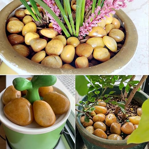 YISZM Rocks for Plant 5lbs, Yellow River Rocks 2-3 Inch Natural Pebbles for Indoor Plants, High Polished Decorative Stones Vase Filler Fish Tank Aquariums Landscaping Garden