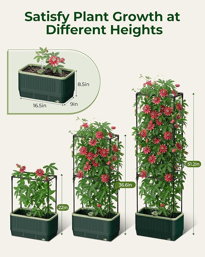 2 Pack Raised Garden Bed Planter Box with Trellis, Self Watering Tomato Planters for Climbing Plants, Tomato Cage Trellis for Vegetables & Vine Flowers Indoor Outdoor Patio