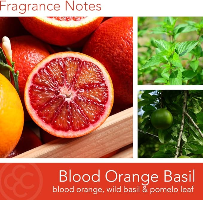 Colonial Candle Blood Orange Basil Scented Jar Candle, Pop of Color Collection, 3 Wick, Orange, 14.5 oz - Up to 60 Hours Burn
