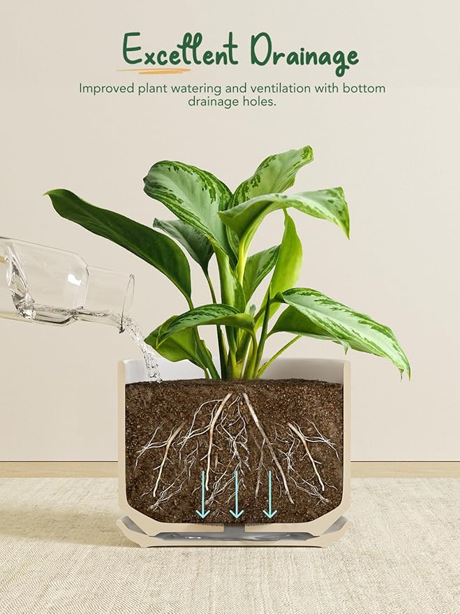 LE TAUCI Ceramic Pots for Plants, 8 Inch Plant Pot with Drainage Hole & Saucer, Modern Minimalist Planters for Indoor Plants, Round Flower Pot for Snake Plant, Monstera, Perfect for Home Decor, White