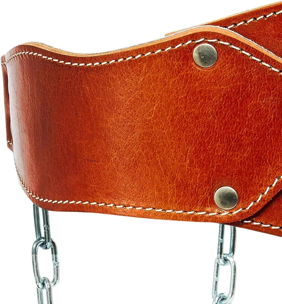 Schiek Dip Belt for Weightlifting - Adjustable, Durable, Supports Heavy Lifts