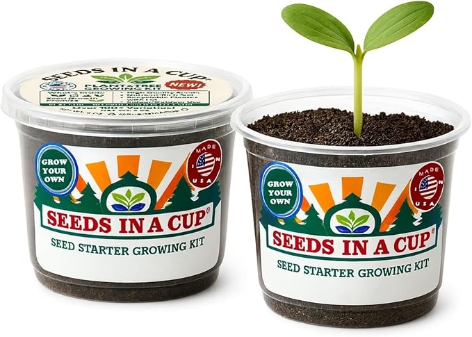 Coffee Arabica Tree Seed Starter Grow Kit (Real Houseplant) - Premium Nutrient-Rich Soil (No Discs) & Recyclable Planters - USA-Made Indoor Gardening Gift for Coffee Lovers & Baristas