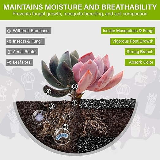 NUPICK 6lb River Rocks for Plants Indoor, 1/5 Inch Black Pebbles for Vases Fillers, Decorative Pea Gravel for Fish Tank, Natural Polished Stones for Succulent, Bonsai, Landscaping, Bird Baths