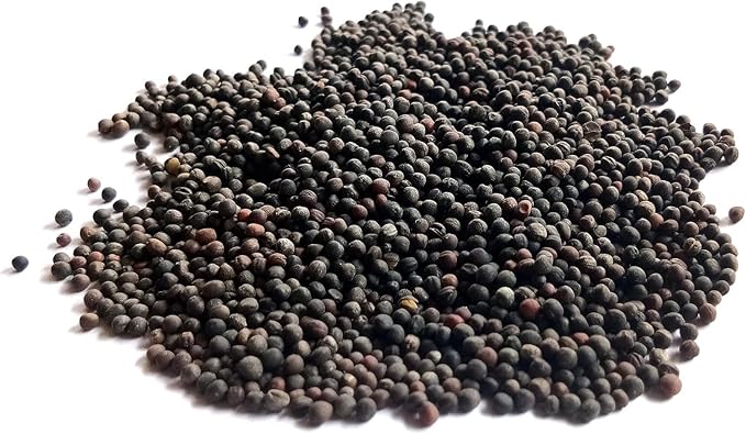 Red Russian Kale Seeds for Planting – Plant & Grow Heirloom Non GMO Red Russian Kale in Home Outdoor Vegetable Garden, Brassica Napus VAR. pabularia – 3 Packets