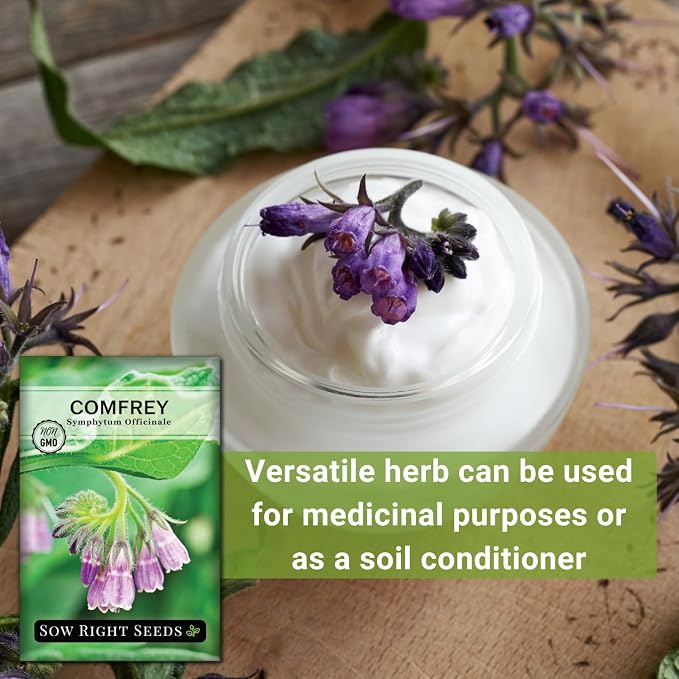 Sow Right Seeds - Comfrey Seeds for Planting - Non-GMO Heirloom - High-Yield Comfrey for Garden, Medicinal Herbs, and Soil Improvement - Outdoor or Indoor Herb Garden - Use for Home Remedies (4)