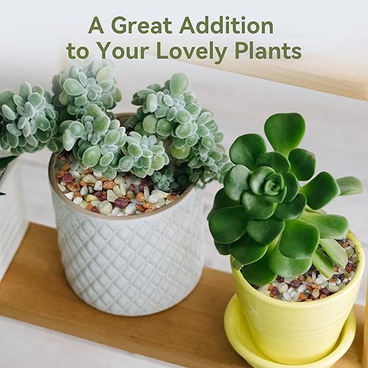 Pulovin 2.5 lbs Pebbles for Indoor Plants, Succulent Rocks, 3/8" Polished Pebbles for Bamboo, Vase, Terrarium, Natural Decorative Small River Rocks for Crafts, Cactus, Outdoor Garden Landscaping