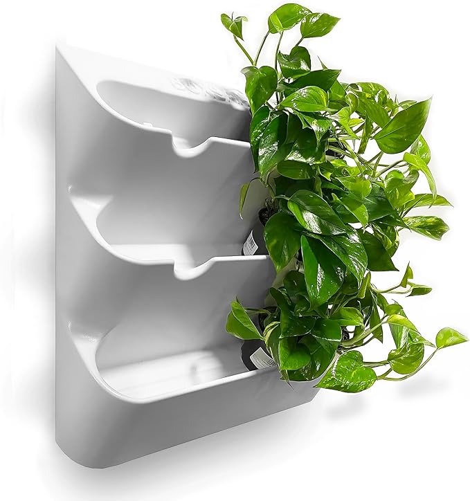 BOXSAND-12 Vertical Wall Planter