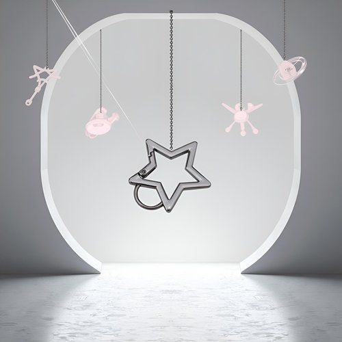 2 Pcs Gunmetal Star Stainless Steel Keychain Clip Carabiner Hook Retainer Star Carabiner Hook Retainer Keychain Carabiner Clip for Keys and Wallets with Key Chain Ring, Accessories, Car Keychain