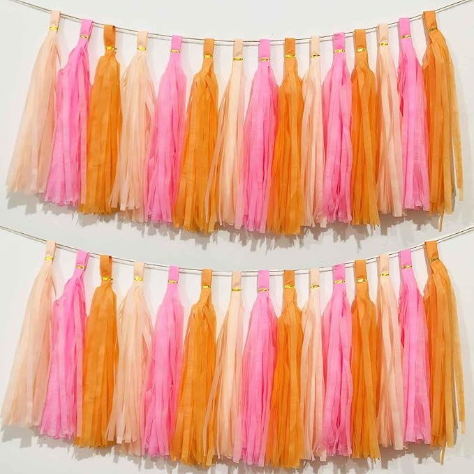We Moment Pink Orange Peach Tissue Paper Tassels Party Tassel Garland Banner for Birthday Baby Bridal Shower Party Decoration, DIY Kits,15PCS
