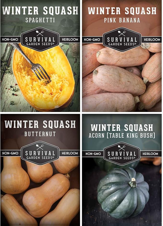 Winter Squash Seeds for Planting - 4 Variety Pack with Butternut, Acorn, Spaghetti & Pink Banana - Heirloom, Open Pollinated Seed - Long-Term Food Storage Vegetables - Survival Garden Seeds
