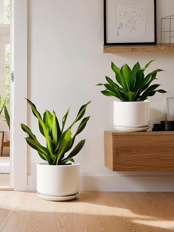 LE TAUCI Ceramic Pots for Plants, 8 Inch Plant Pot with Drainage Hole & Saucer, Modern Minimalist Planters for Indoor Plants, Round Flower Pot for Snake Plant, Monstera, Perfect for Home Decor, White