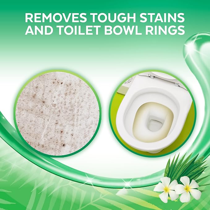 Lysol Toilet Bowl Cleaner Gel, For Cleaning and Disinfecting, Stain Removal, Forest Rain Scent, 24 Oz (Pack of 4) - With 1ct Auto In-The-Bowl Toilet Cleaner, Ocean Fresh