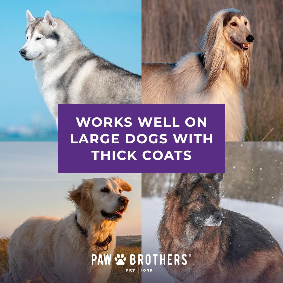 Paw Brothers Extra Long Slicker Brush - Ergonomic Handle for Removing Loose Undercoat & Tangles