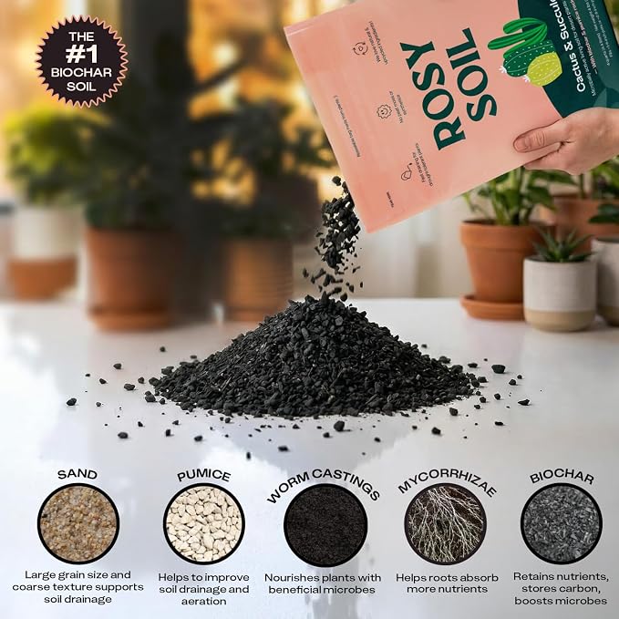 Rosy Soil Cactus & Succulent Potting Mix, 4qt, Pack of 2 | Organic Succulent Potting Soil, Chunky Fast Draining, Peat-Free, Root Boosting Mix, For AloeVera, Cacti, Indoor Succulents