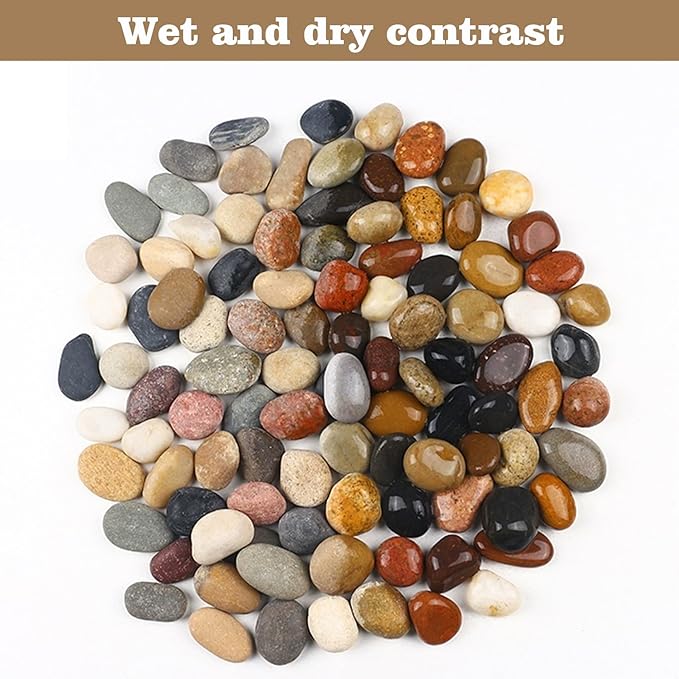 Natural River Rocks-10 lbs of Pebbles and River Stones,2-3 Inch Plant Rocks for Landscaping,Garden Paving,Crafting,Walkways,and Outdoor Decorative Stone,Mexican Beach River Rocks