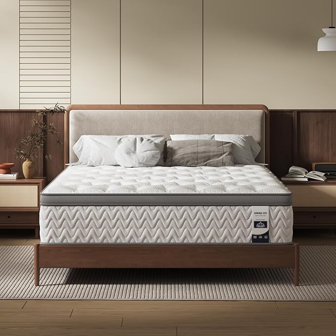 Queen Mattress 10 Inch, 5-Zone Deep Sleep Firm Mattress with Extra Lumbar & Shoulder Support, Hotel Collection Hybrid Mattresses Pain Relief - Fiberglass Free - No Odor - 365 Night Trial